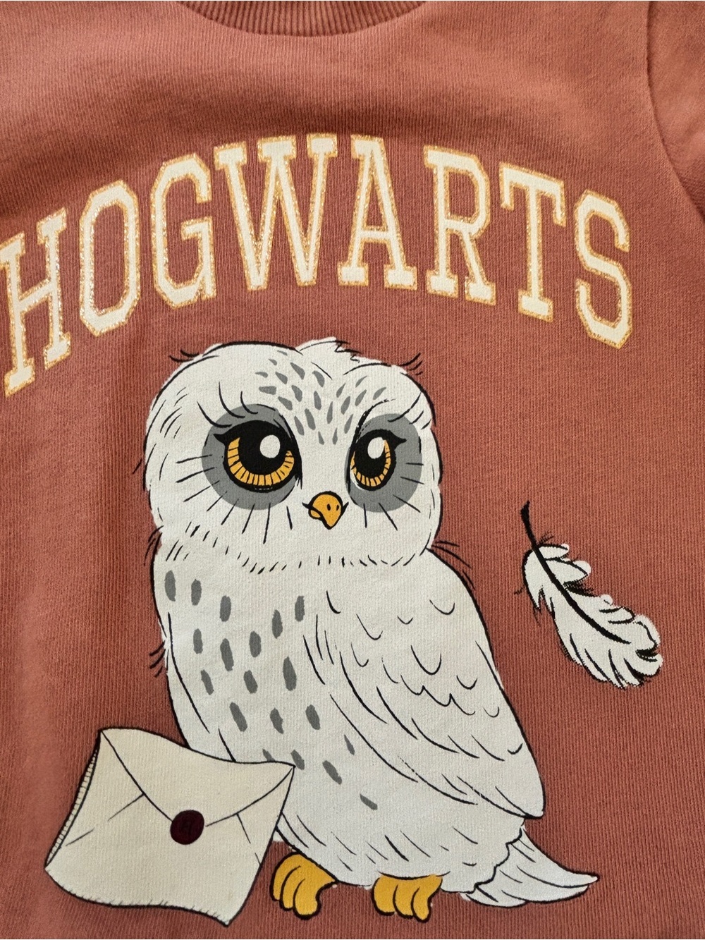 H&M Rust-Pink Hogwarts Owl Ruffle Dress - Picture 2 of 5
